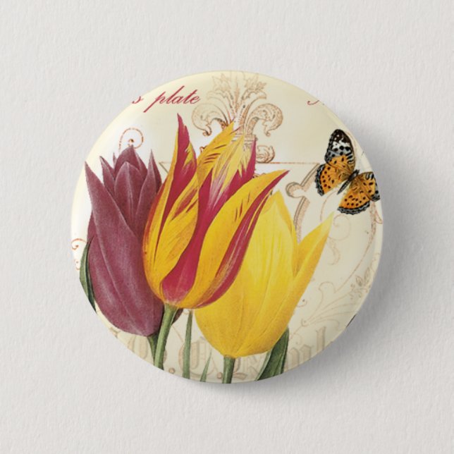 Tuliper Knapp (Framsida)