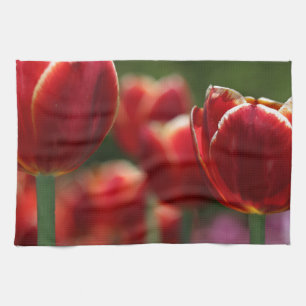 Tuliper Kökshandduk