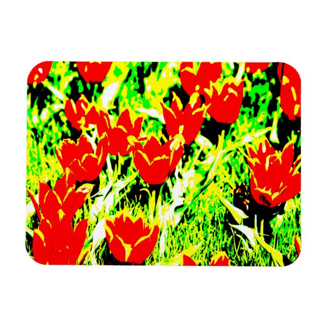 Tuliper Magnet (Horisontell)