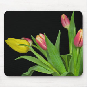 Tuliper Musmatta