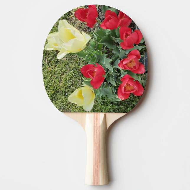 Tuliper Pingisracket (Framsidan)
