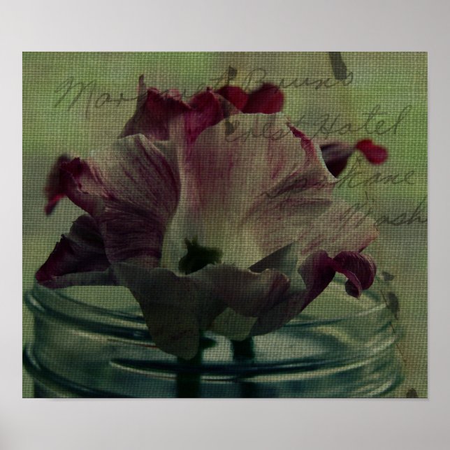 Tuliper Poster (Framsidan)