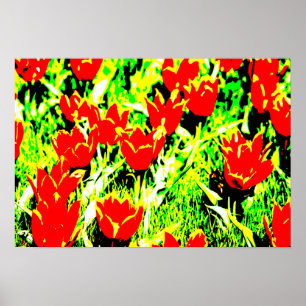 Tuliper Poster
