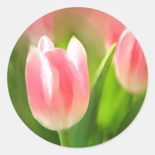 Tuliper Runt Klistermärke