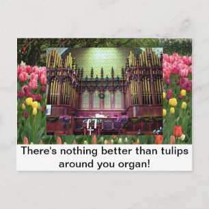 Tuliper Vykort