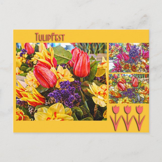 Tulipfest Tulip Postcard Spring Flowers Vykort (Framsida)