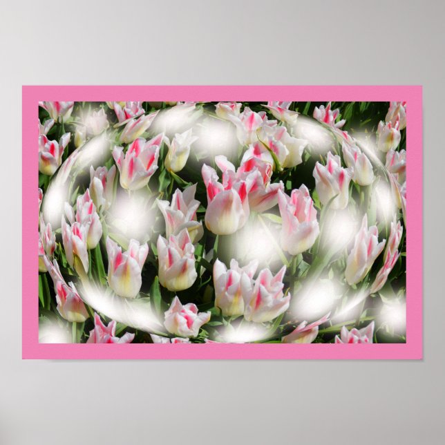 Tulipinspiration Poster (Framsidan)
