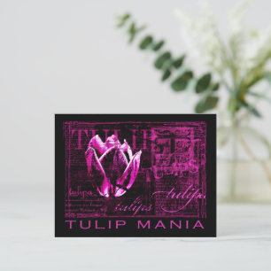 Tulipmani Vykort