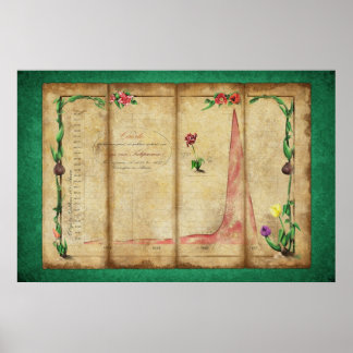 Tulipomania Graph (green) Poster