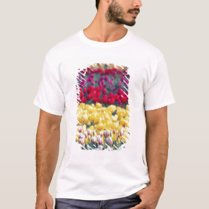 Tulipparadis i Skagitdalen, Tee Shirt