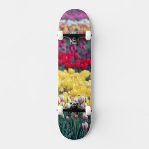 Tulippark i Skagitdalen, Skateboard Bräda 21,5 Cm
