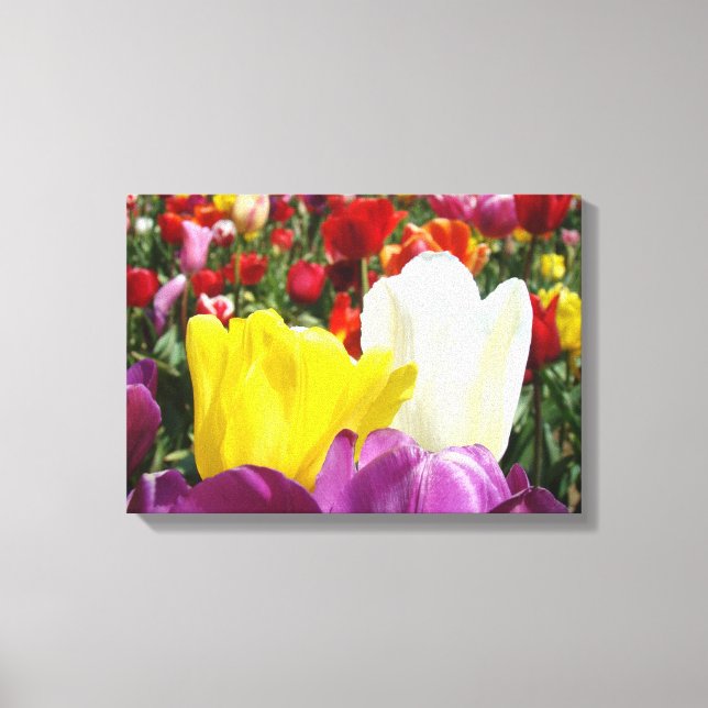 Tulipptryck Insvept canvas Tulpaner Blommor (Framsida)