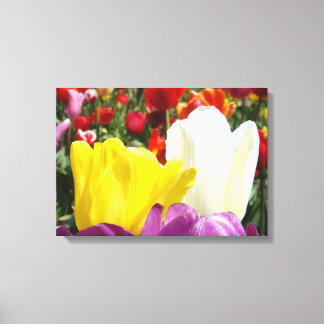 Tulipptryck Insvept canvas Tulpaner Blommor