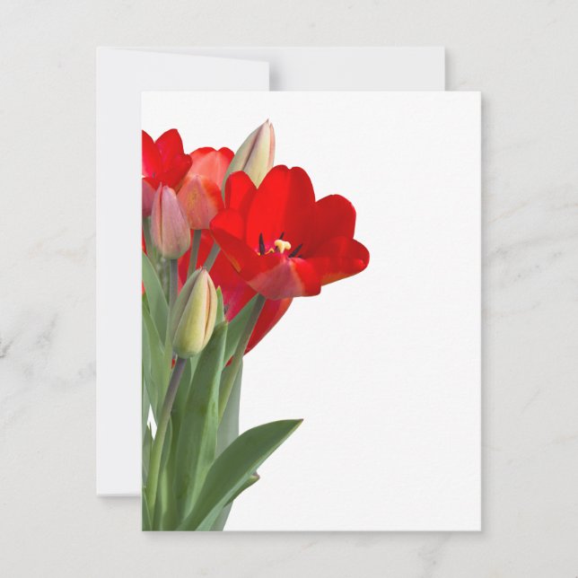 Tulips (Framsida)