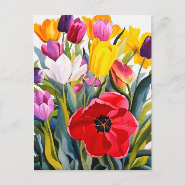 Tulips 2007 vykort (Framsida)