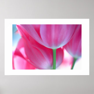 Tulips #2-Poster Poster