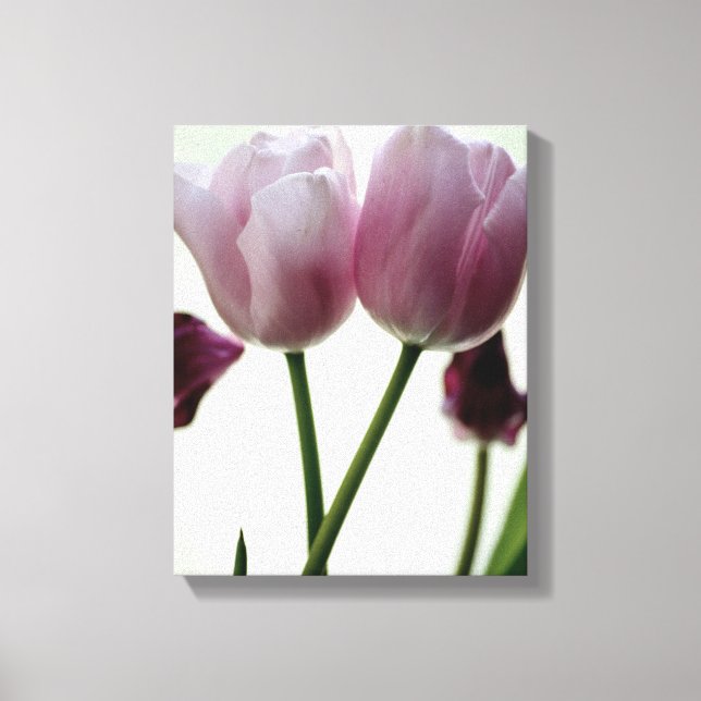 Tulips 3259 canvastryck (Framsida)