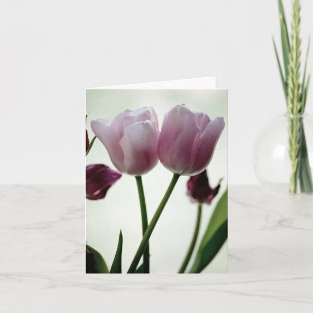 Tulips 3259 kort (Framsida)