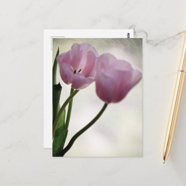 Tulips 3265 vykort (Fram/Back In Situ)