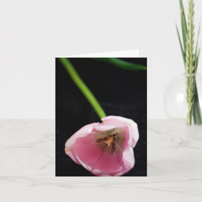 Tulips 3272 kort (Framsida)