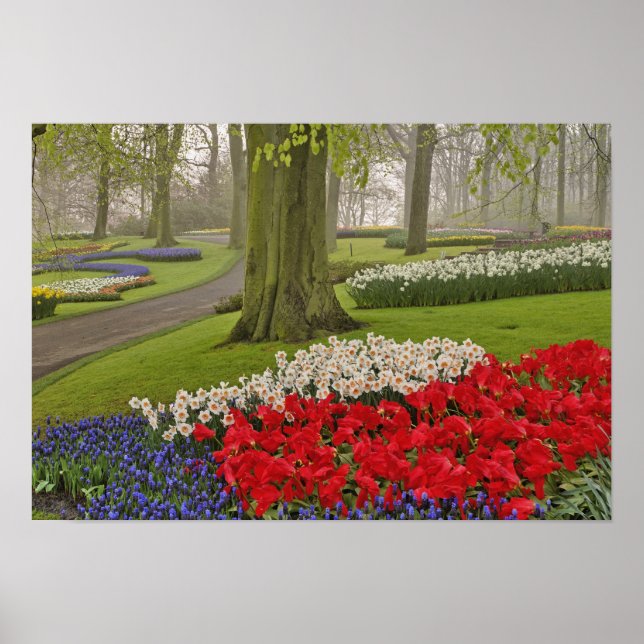 Tulips and daffodils, Keukenhof Gardens Poster (Framsidan)