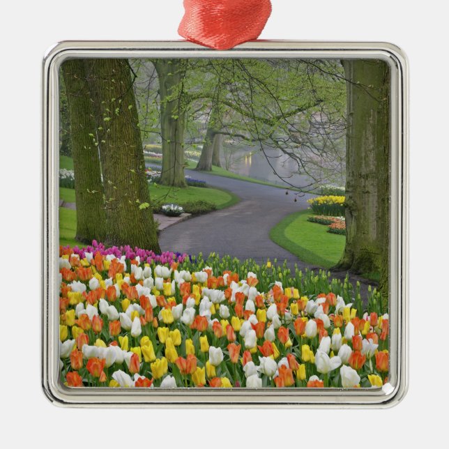 Tulips and road way, Keukenhof Gardens, Lisse Julgransprydnad Metall (Framsidan)