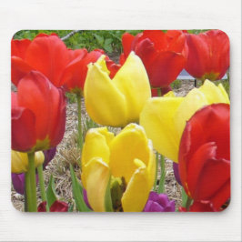 Tulips av botaniska trädgården musmatta