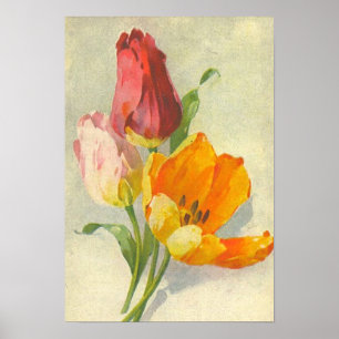Tulips av Catherine Klein Poster