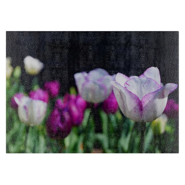 Tulips av Vår! (Framsidan)