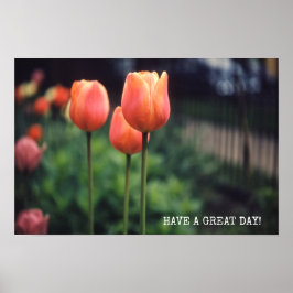 Tulips Blommigt Tulip Garden Vår Day Flowers Poster