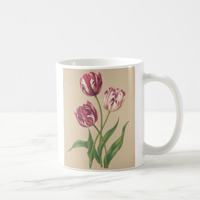Tulips botaniska konst kaffemugg (Höger)