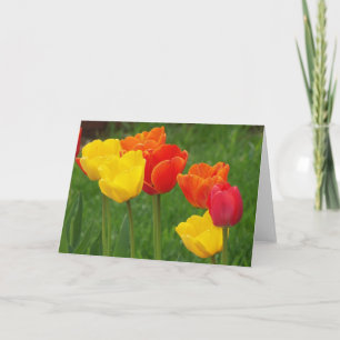 Tulips Brights Kort