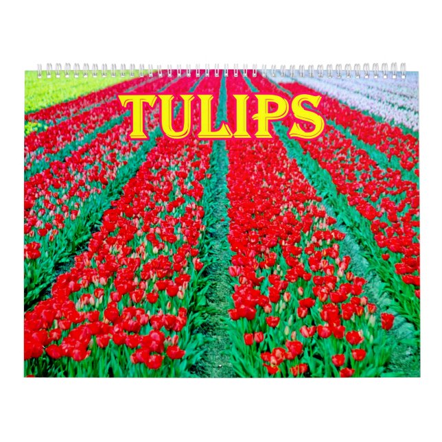 tulips Calendar Kalender (Omslag)