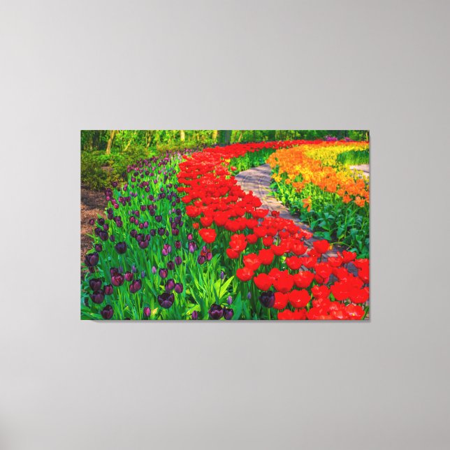 Tulips Canvas Art (Framsida)