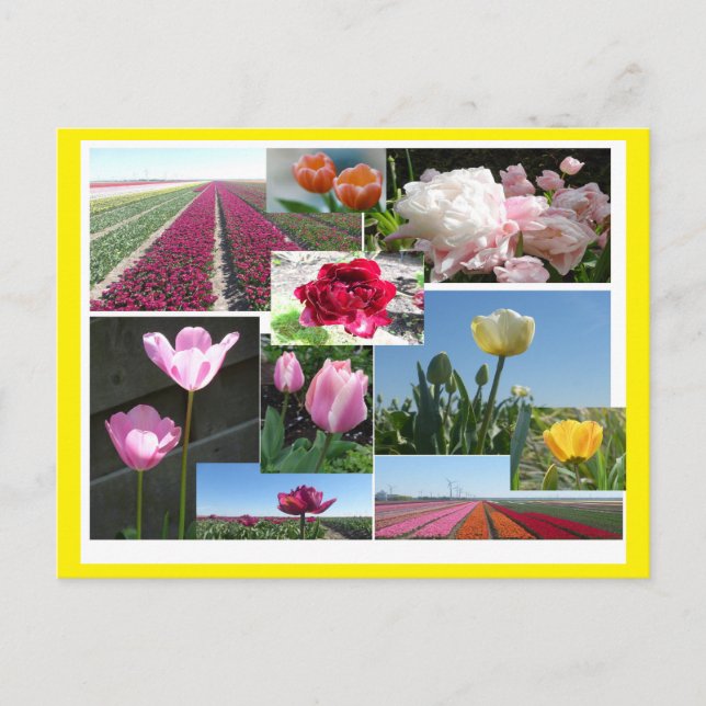 Tulips Collage DIY & Cust. vykort för gräns Färg (Framsida)