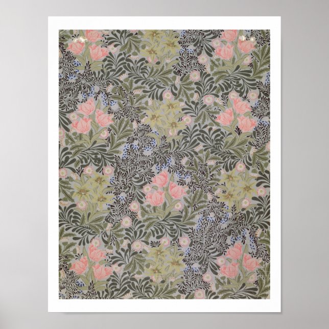 Tulips, Daisy och honeysuckle Poster (Framsidan)