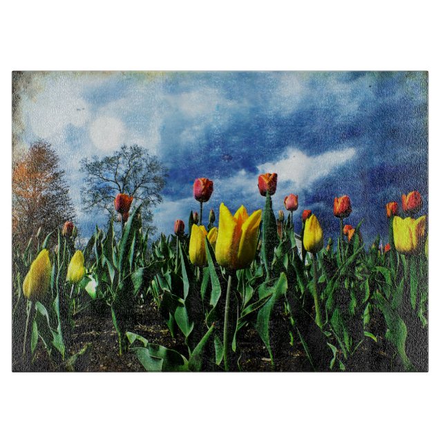 Tulips Drama Glass-skärningspåläggning (Framsidan)