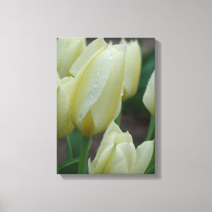 Tulips efter regnet canvastryck
