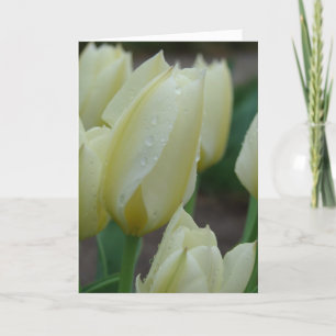 Tulips efter regnet helgkort
