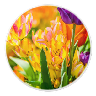 Tulips Enchanting 01 Knopp