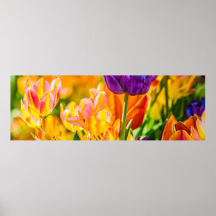 Tulips Enchanting 01 Poster