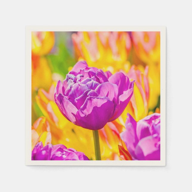 Tulips Enchanting 12 Pappersservett (Framsidan)