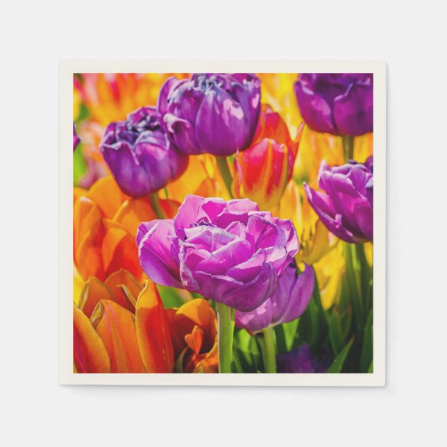 Tulips Enchanting 12a Pappersservett (Framsidan)