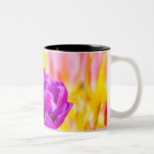 Tulips Enchanting 15 Två-Tonad Mugg