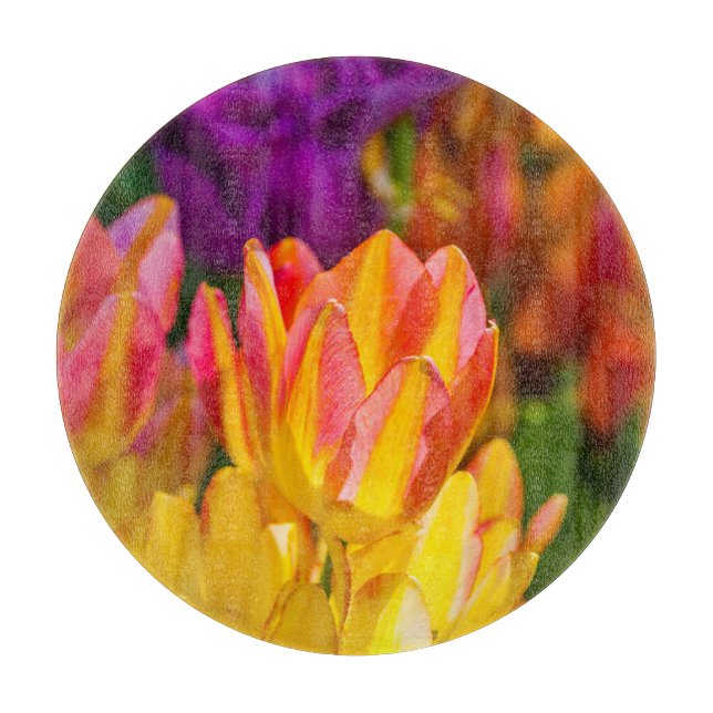 Tulips Enchanting 16 (Framsidan)