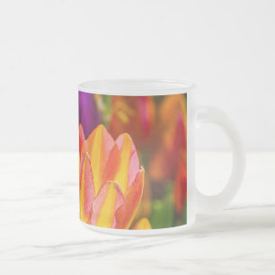 Tulips Enchanting 16 Frostad Glasmugg