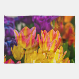 Tulips Enchanting 16 Kökshandduk