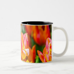 Tulips Enchanting 17 Två-Tonad Mugg