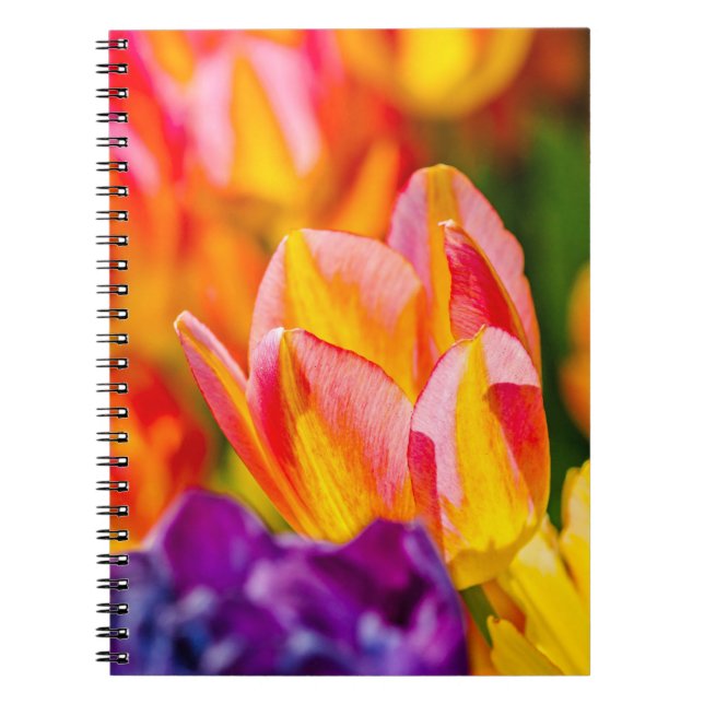 Tulips Enchanting Anteckningsbok Med Spiral (Framsidan)