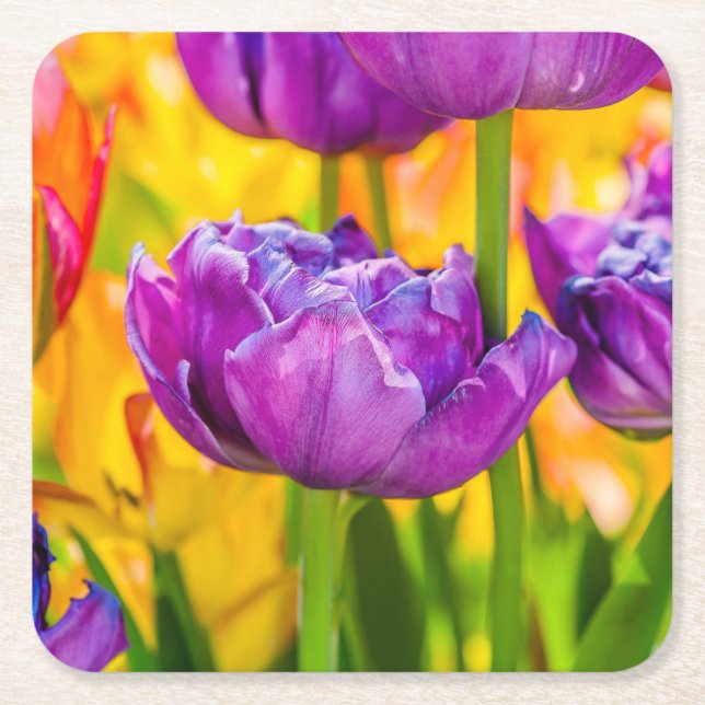 Tulips Enchanting Deep Rosa Underlägg Papper Kvadrat (Framsidan)